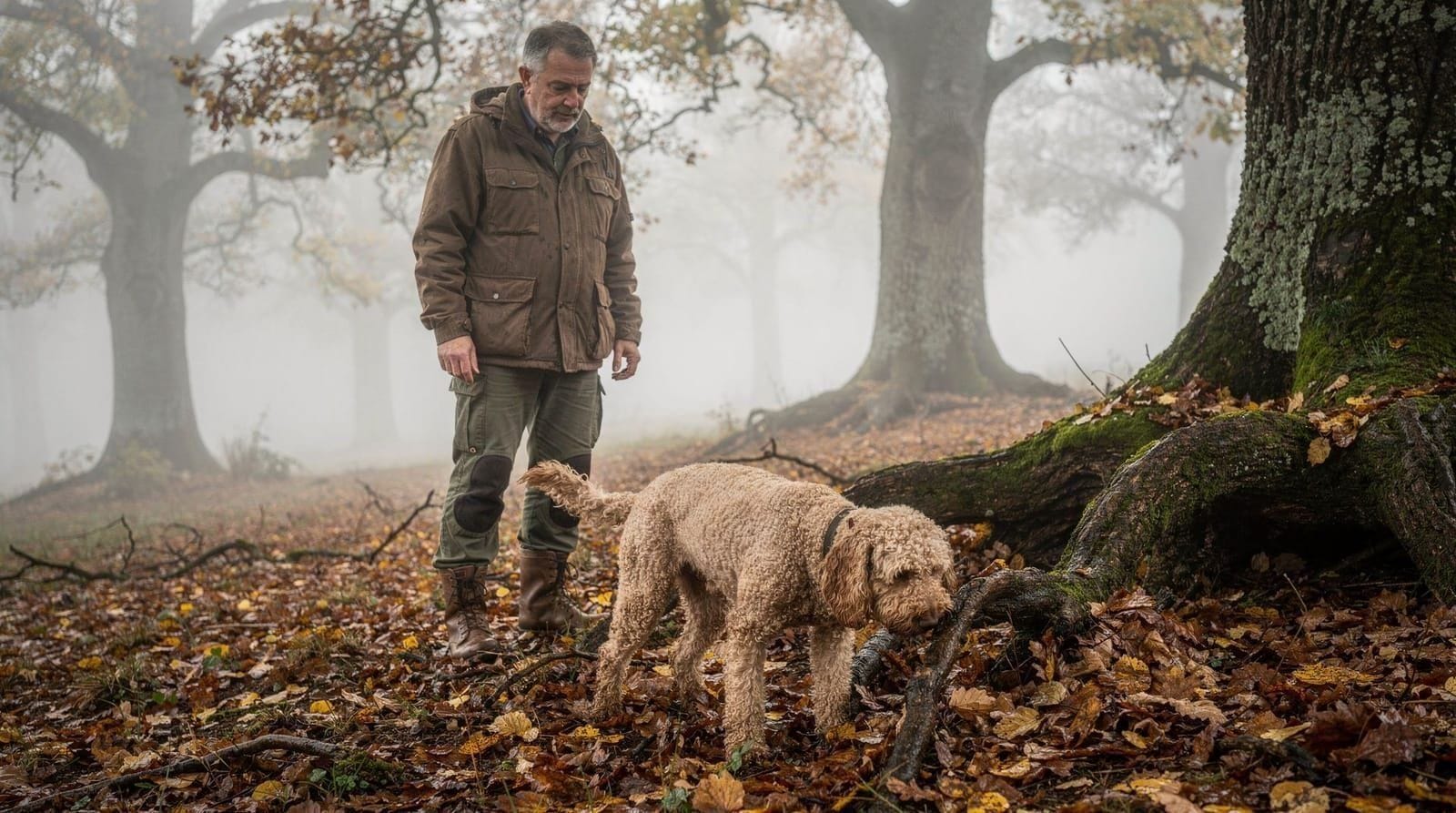 Trüffelsuche in der Toskana: was wirklich im Wald passiert — Trüffelsuche in der Toskana – Hund, Schlamm, Geruch und Mittagessen. Was dich er