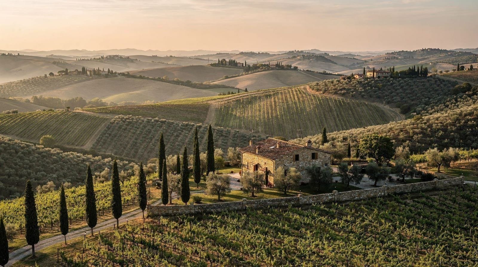 Florence: Chianti wineries tour with wine tasting