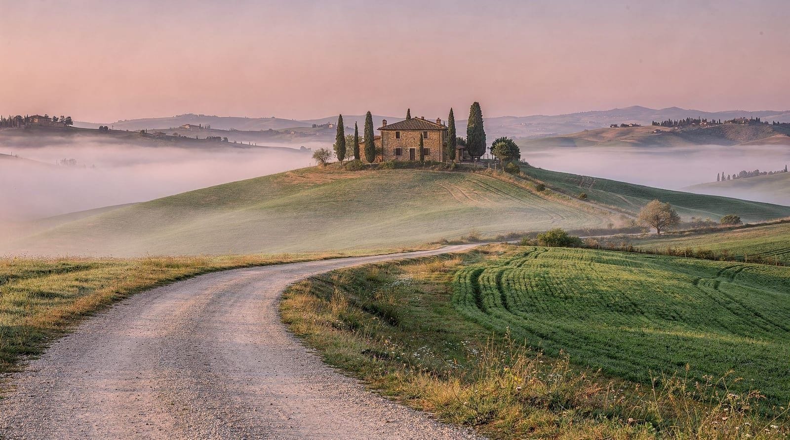 Florence: Tuscany full day small group wine and food tour