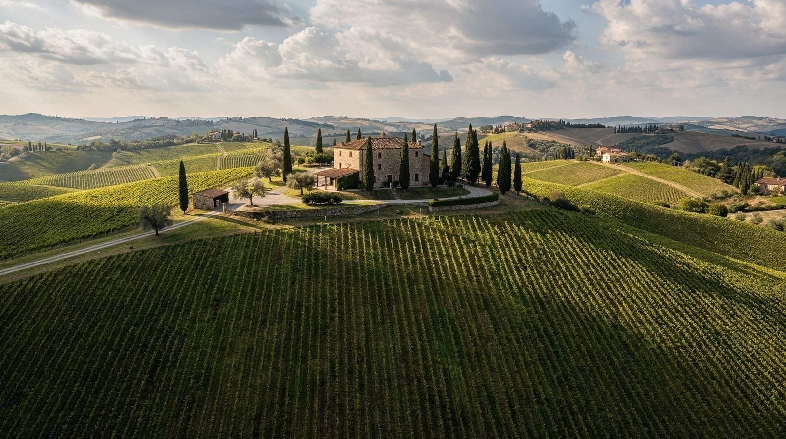 Tuscan wine regions guide