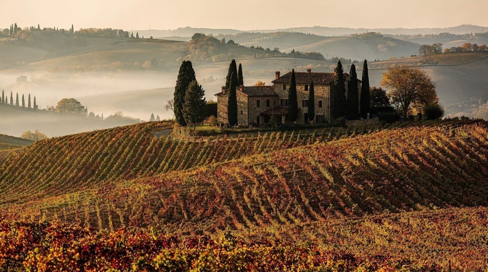 Chianti-Weinwochenende — Zwei Tage im Chianti: Weingutsführungen, Greve, Castellina, Radda, Gaiole und di